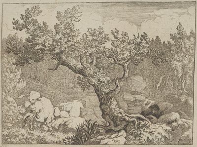 Il cacciatore vicino al grande albero da Allart van Everdingen