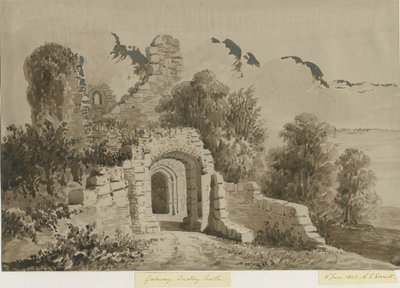 Castello di Dudley - Il portale: disegno a lavaggio rosso-seppia da Allen Edward Everitt