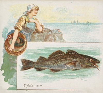 Merluzzo, da Fish from American Waters series N39 per Allen & Ginter Cigarettes da Allen and Ginter