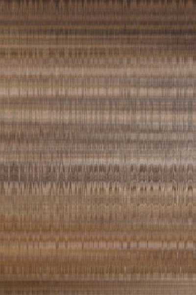 Vene del legno dal tono terroso da Alma