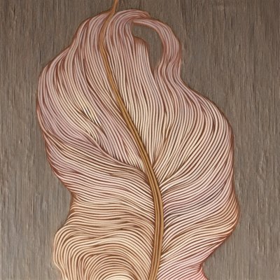 Linee sinuose da Alma
