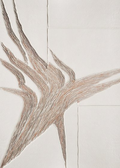 Linee organiche fluide da Alma