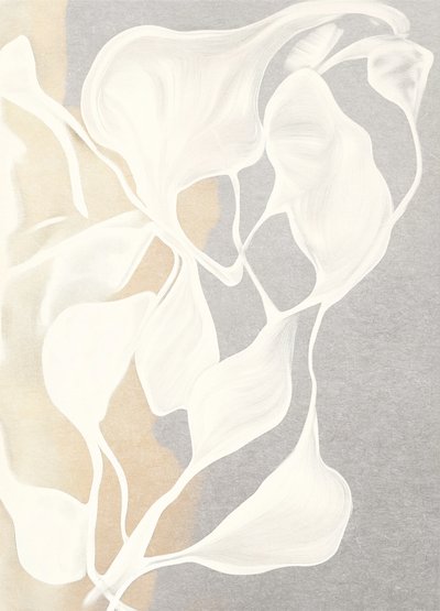 Forme organiche fluide da Alma