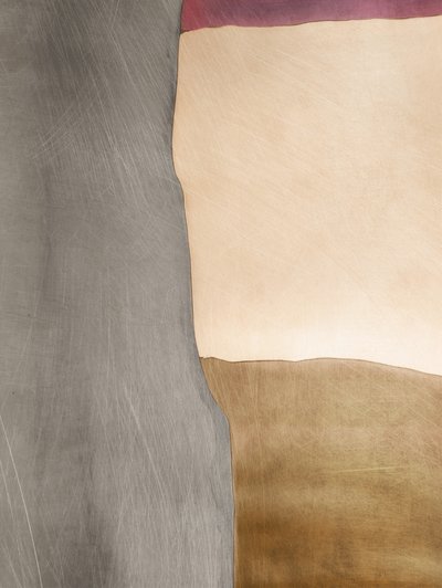 Campi di colore organici da Alma