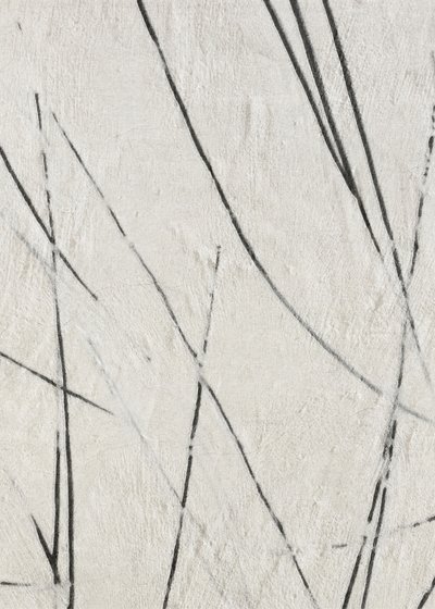 Linee organiche - Texture da Alma