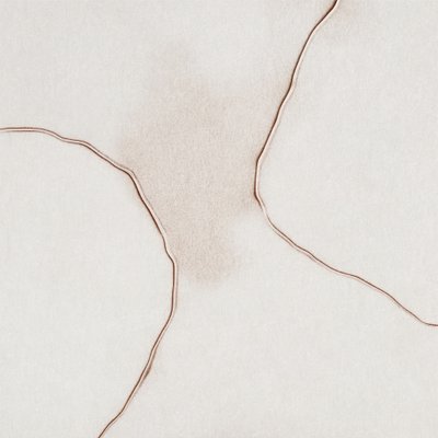 Forme morbide e fluide da Alma