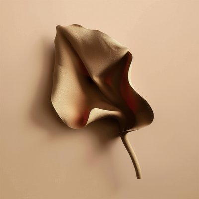 Forma morbida e organica da Alma