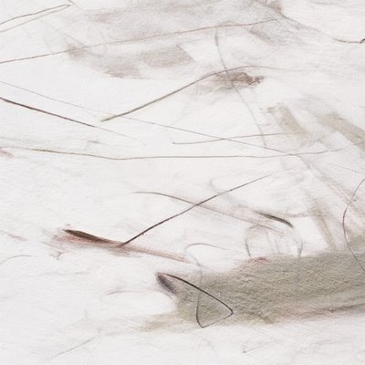 Linee morbide e sinuose da Alma