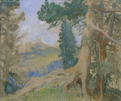 Scheiblahn alla sera da Alois Penz