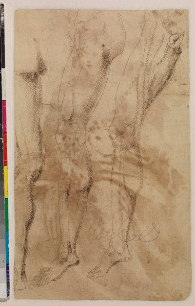 Tre studi di una gamba maschile (verso) da Alonso (workshop of) Berruguete