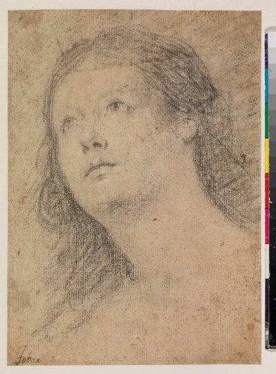 Testa di una donna che guarda in alto (recto) da Alonso Miguel de Tovar