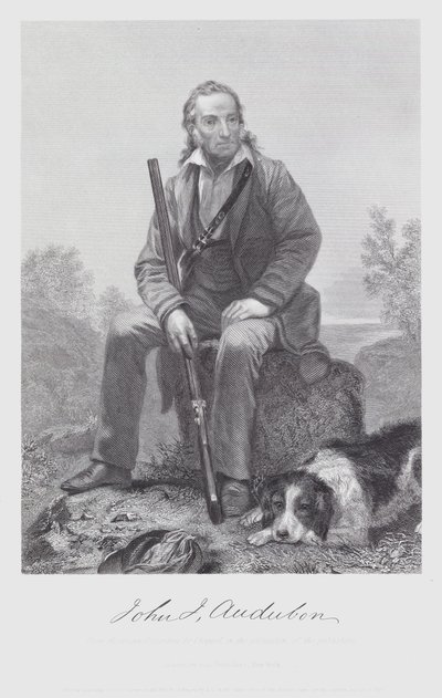 John James Audubon (incisione) da Alonzo (after) Chappel