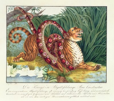 La tigre e il boa constrictor, 1835 da Aloys Zötl