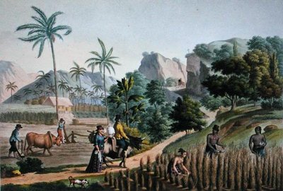 Isola di Guam: Lavori agricoli, da 