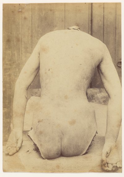 Vista posteriore del bagagliaio da Alphonse Bertillon