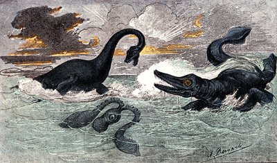 Periodo Lias (Giurassico Inferiore): Plesiosauro e Ittiosauro, creazione naturale e esseri viventi (di Jules Rengade) Disegno di A. Demarle. 1885 da Alphonse Demarle