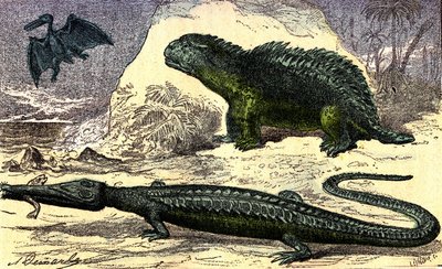 Preistoria - Periodo Giurassico: Il Teleosauro e l
