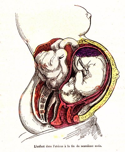 Il bambino nell