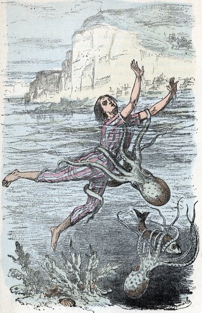 Tavola zoologica; mollusco cefalopode, bagnante catturato da un grande polpo e musquee eledone (Tavola zoologica: nuotatore catturato da un polpo) Incisione da 