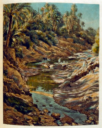 Illustrazione di Dinet da 