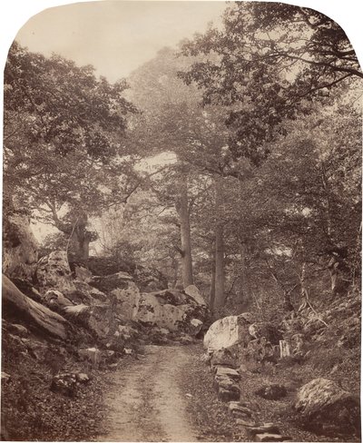 Fontainebleau da Alphonse Jeanrenaud