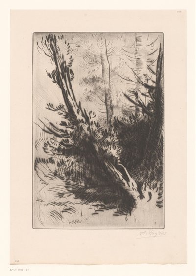Alberi da Alphonse Legros (signed by artist)