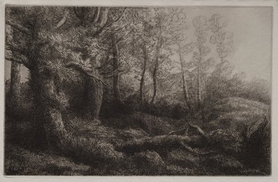 Studio di un bosco da Alphonse Legros