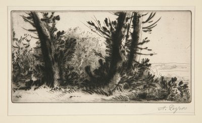 Attraverso il campo da Alphonse Legros