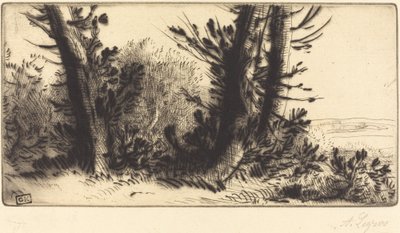 Attraverso la campagna da Alphonse Legros