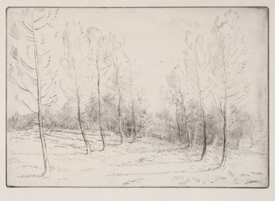 Viale di pioppi da Alphonse Legros