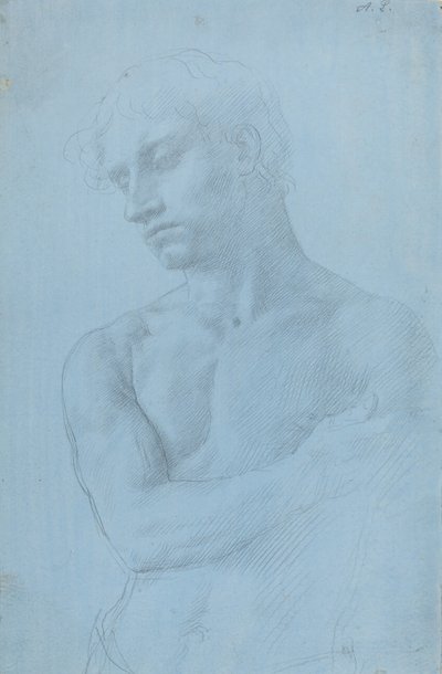 Busto di uomo nudo da Alphonse Legros