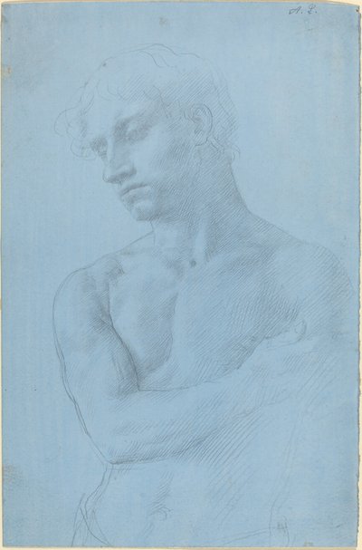 Busto di uomo nudo da Alphonse Legros