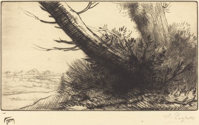 Angolo di un sentiero da Alphonse Legros