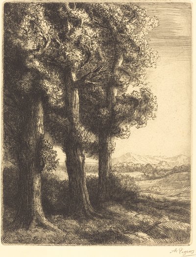 Angolo di un bosco da Alphonse Legros
