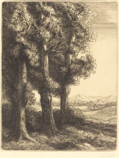 Angolo di un bosco da Alphonse Legros