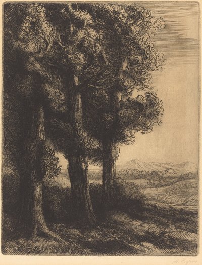 Angolo di un bosco da Alphonse Legros
