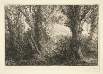 Nella foresta di Conteville da Alphonse Legros