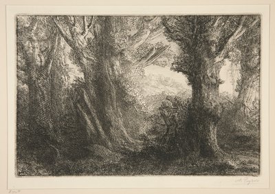 Nella foresta di Conteville da Alphonse Legros
