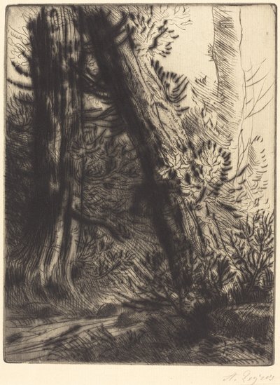 Bordo di un ruscello da Alphonse Legros