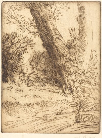 Bordo di un Ruscello da Alphonse Legros