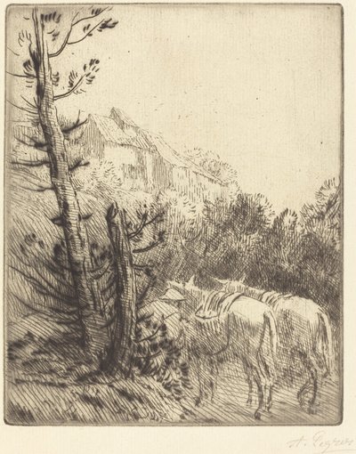 Fattoria sulla Collina da Alphonse Legros