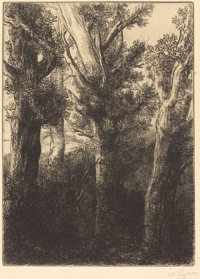 Foresta tedesca, Downley da Alphonse Legros