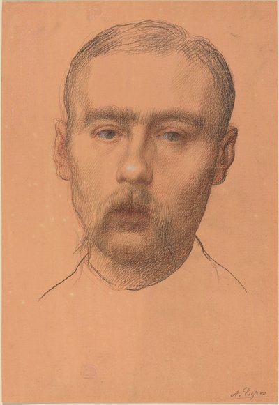 Testa di un uomo (Possibile ritratto del professor E.D. Adams) da Alphonse Legros
