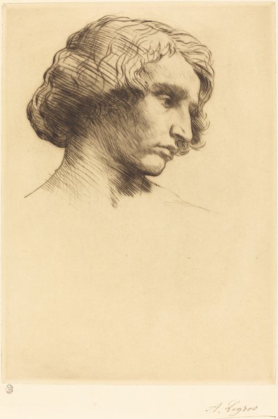 Testa di un uomo da Alphonse Legros
