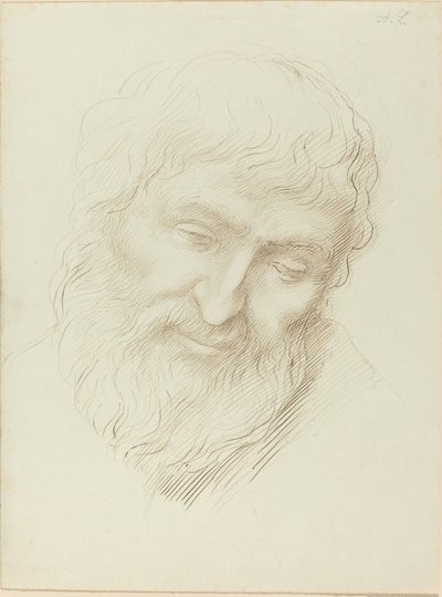 Testa di un uomo da Alphonse Legros