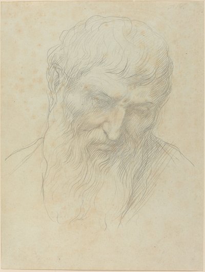 Testa di un uomo con capelli ricci e barba da Alphonse Legros