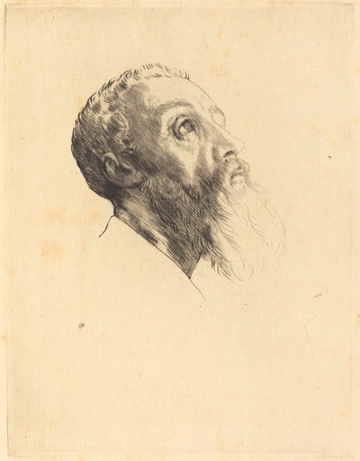 Testa di un modello Tête de modèle da Alphonse Legros