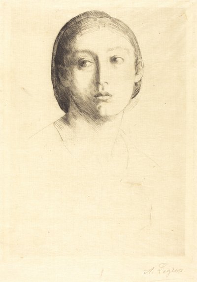 Testa di giovane ragazza da Alphonse Legros