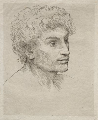 Testa di un giovane uomo da Alphonse Legros