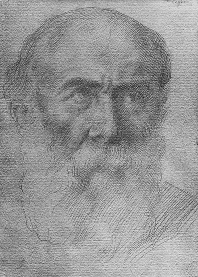Testa di un uomo da Alphonse Legros